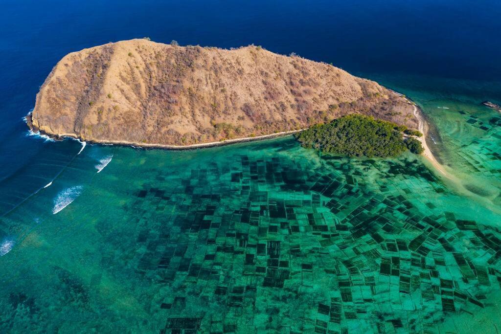 Beach-Front Sumbawa Surf House Lemonga Экстерьер фото